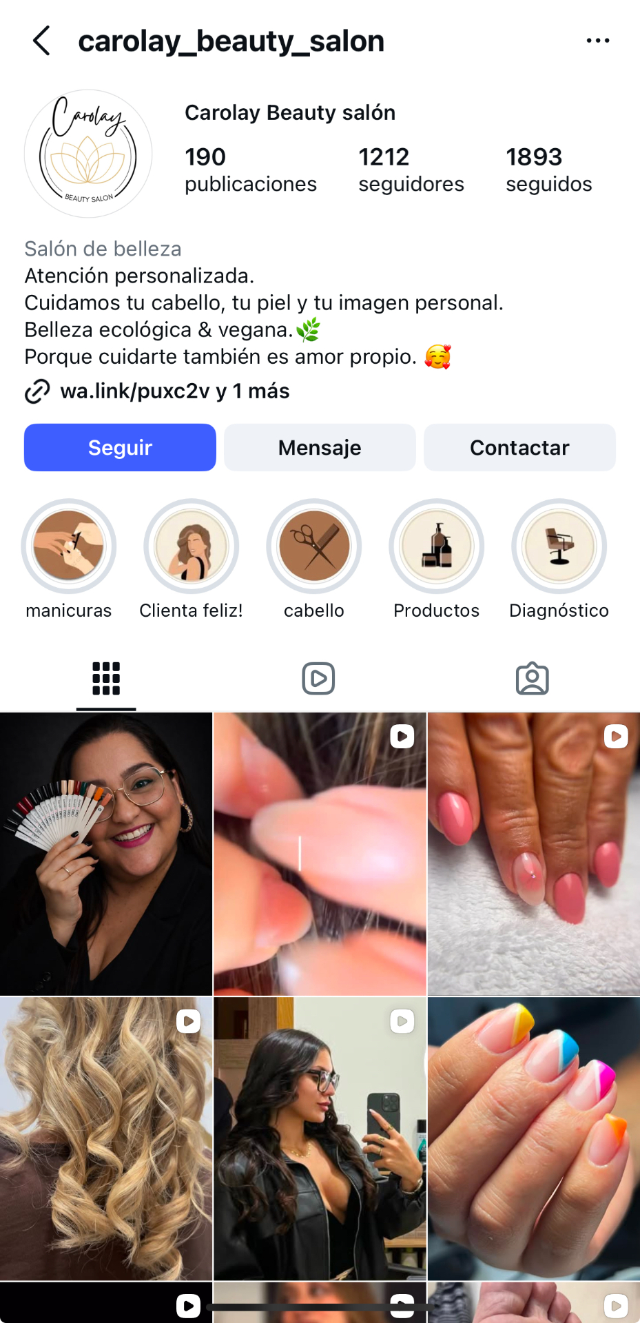 Feed de Instagram del proyecto